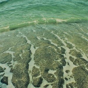 + CALLING ALL OCEAN BABES +